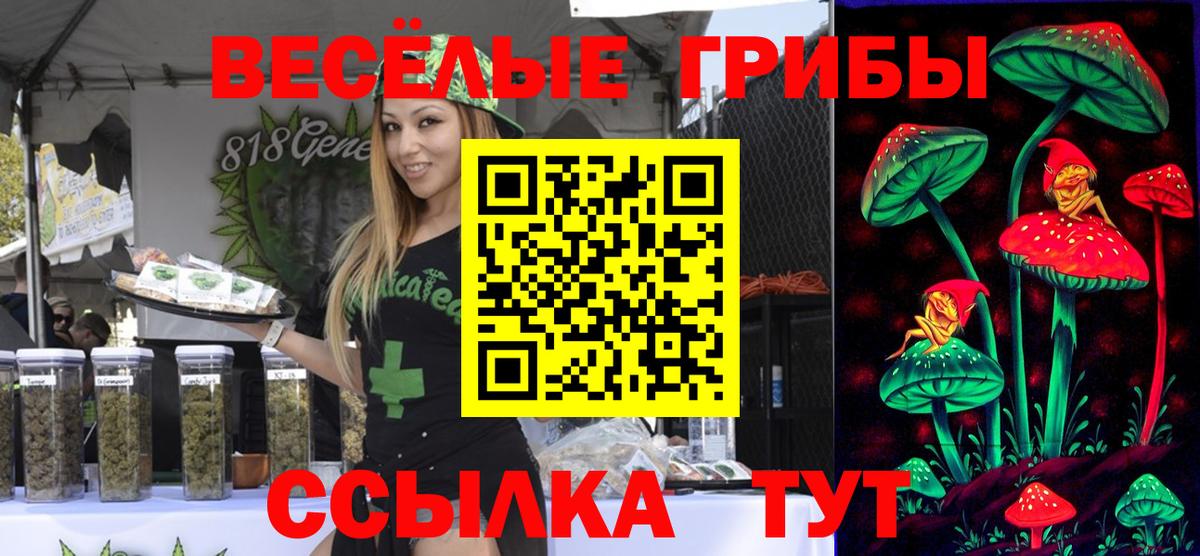 Галлюциногенные грибы прущие грибы  купить наркотик  Галлюциногенные грибы Cubensis  Биробиджан  Вход с VPN 